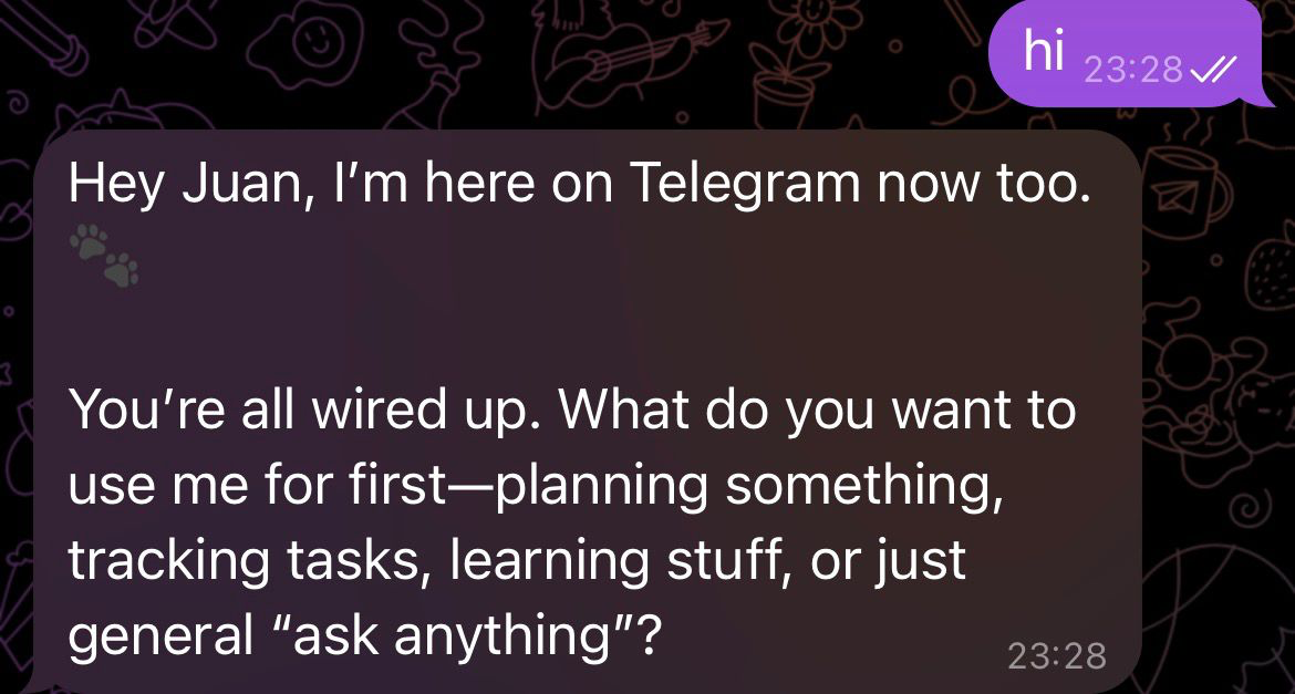 OpenClaw Telegram Bot